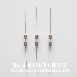 带引线(xiàn)保险3.6*10mm 8A 慢熔